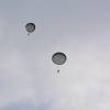 118 BAC 36